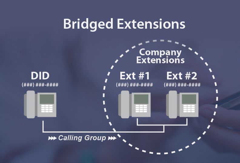 Bridged-Extension
