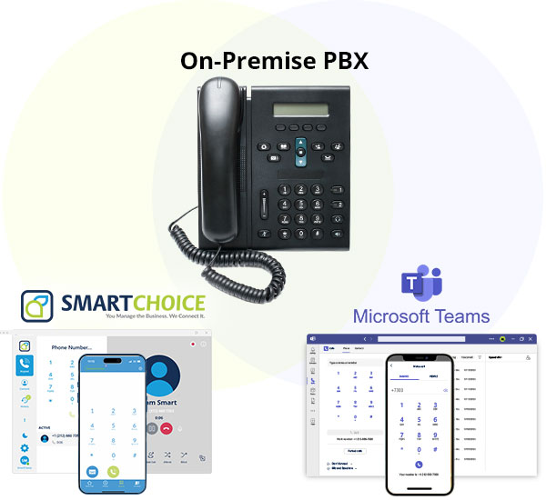 Multiple endpoints for MSP partners