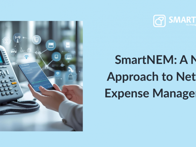 SmartNEM: A New Approach to Network Epense Management