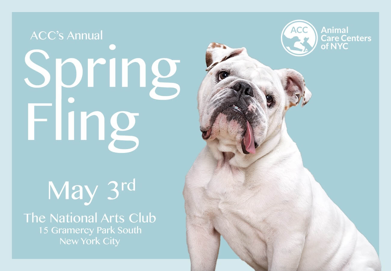 ACC Spring Fling 2019 - SmartChoice