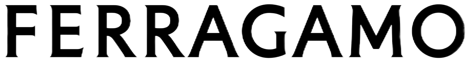 Ferragamo brand text logo in elegant black and white design