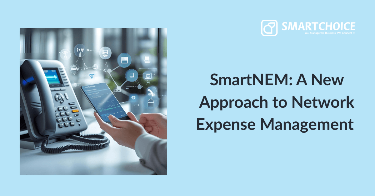 SmartNEM: How a New Approach to Network Expense Management is Helping Enterprises Save